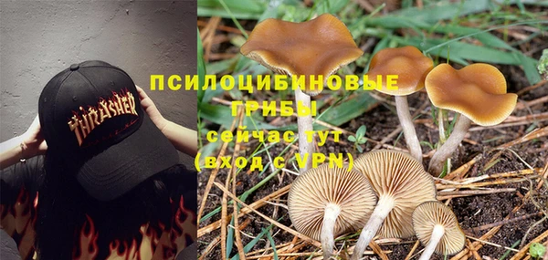 первитин Абаза